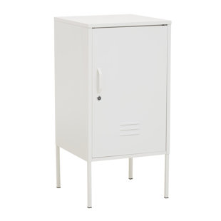 Wayfair on sale metal cabinet